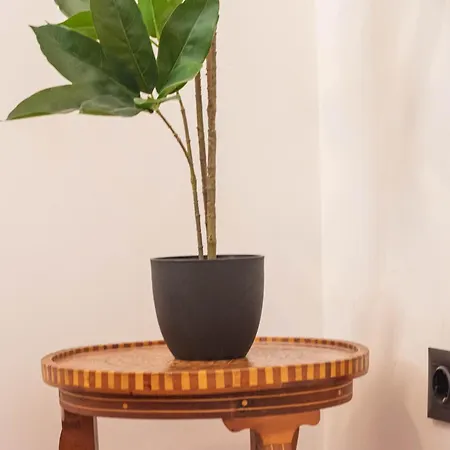 Elvira 54 *