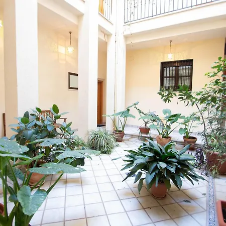 Appartement Elvira 54